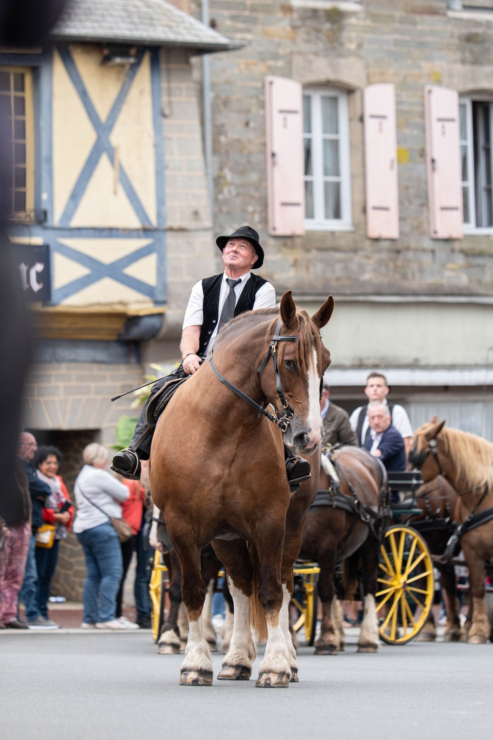 Défilé d'un cheval lors d'une parade